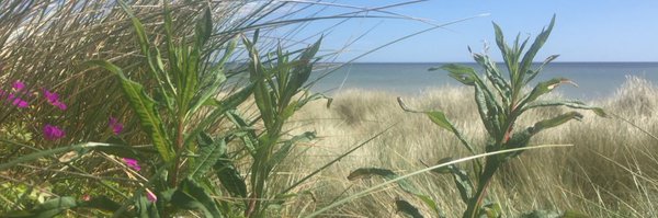 BushbyKate Profile Banner