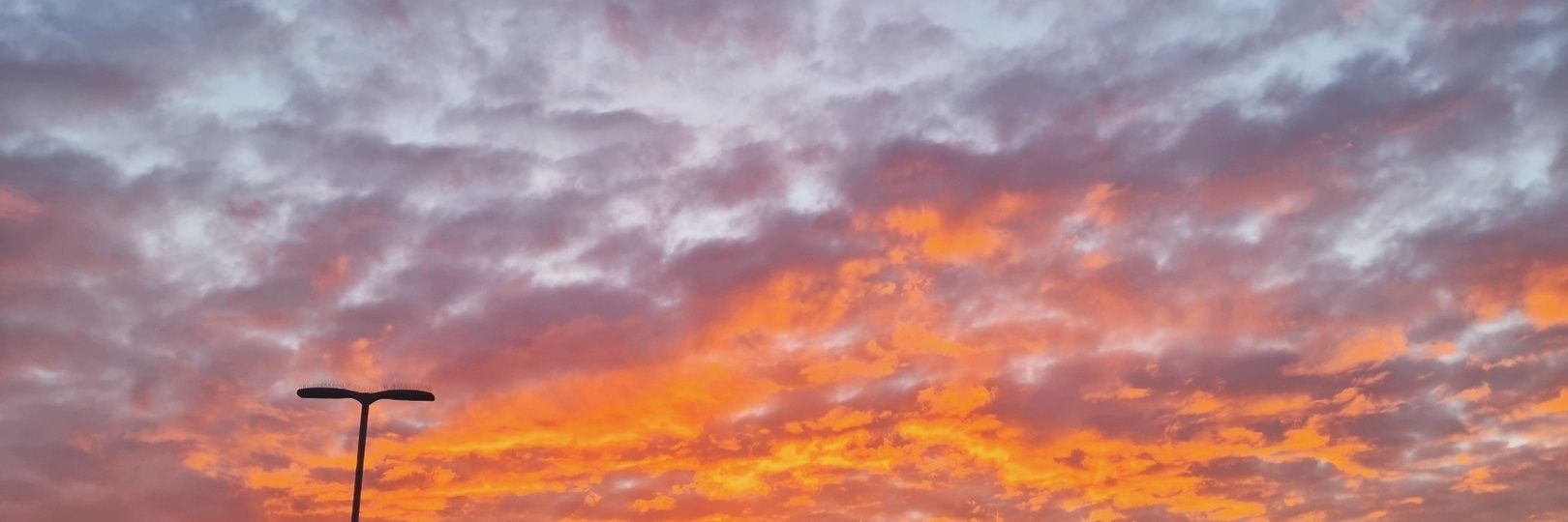 Justine banner