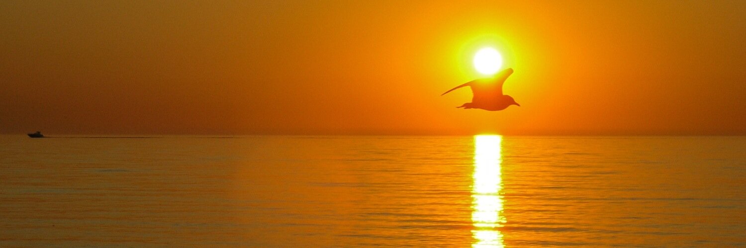 SoulriseAstro's profile banner image