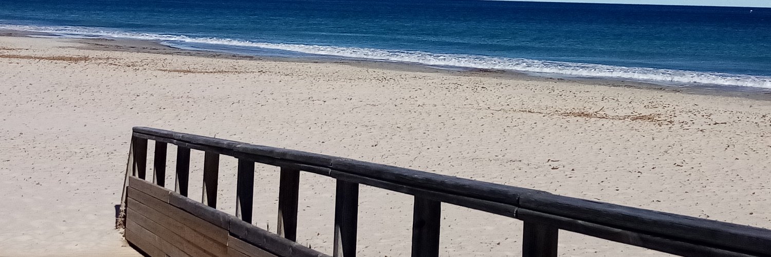 Tonatica's profile banner image
