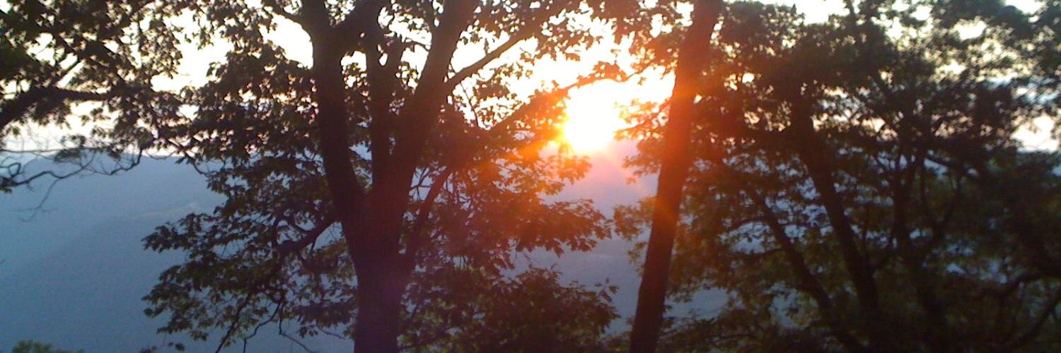 LewisCMiller1's profile banner image