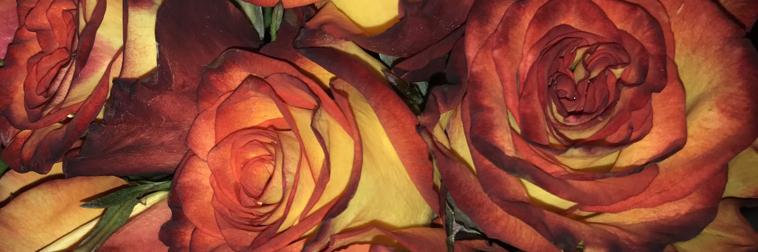 miarose___'s profile banner image
