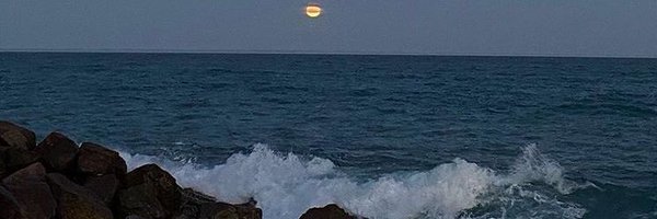 sd_moonlight99 Profile Banner