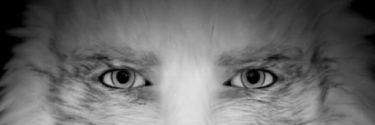 Romainto2's profile banner image