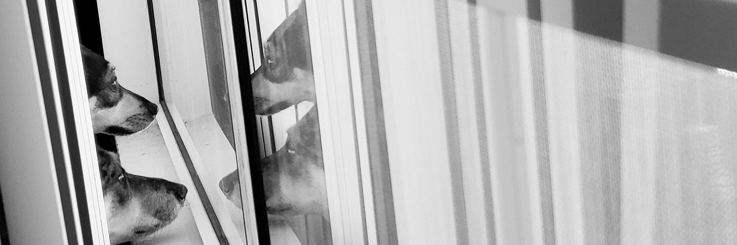 ManicMapGirl 🗺 (she/her) banner