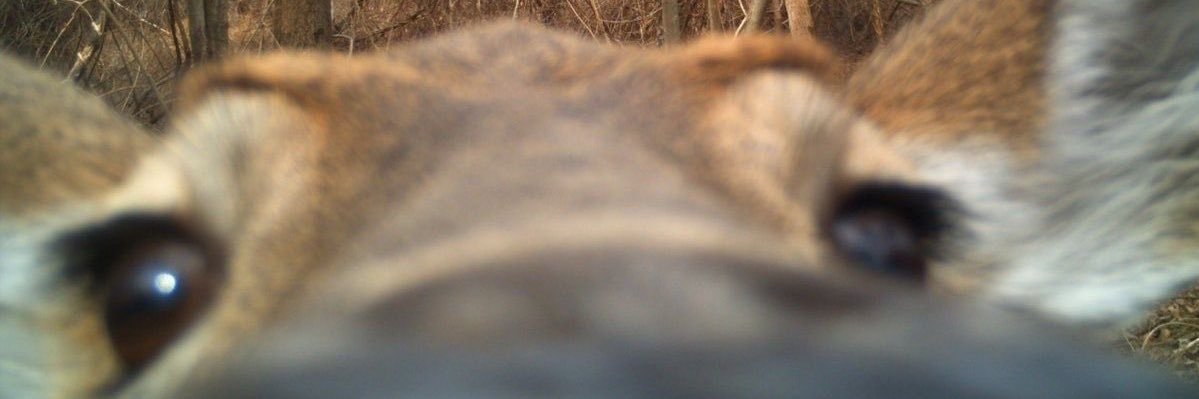 Rubn_e's profile banner image