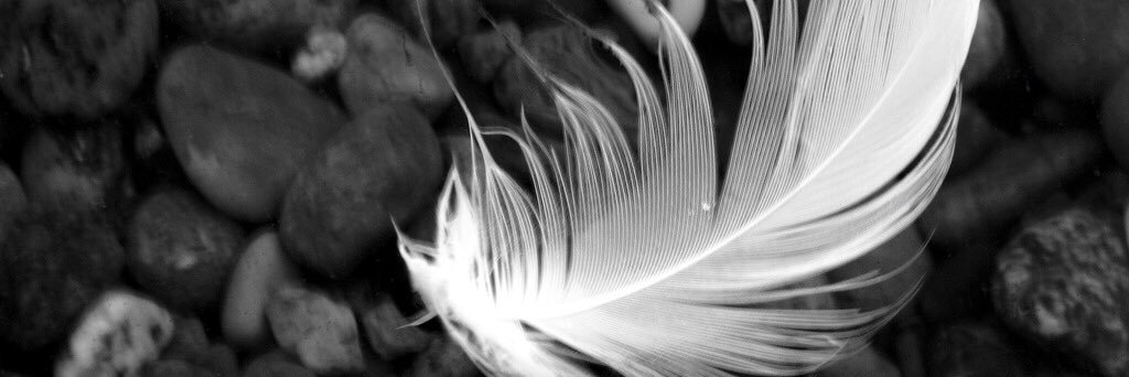 sarah32924's profile banner image