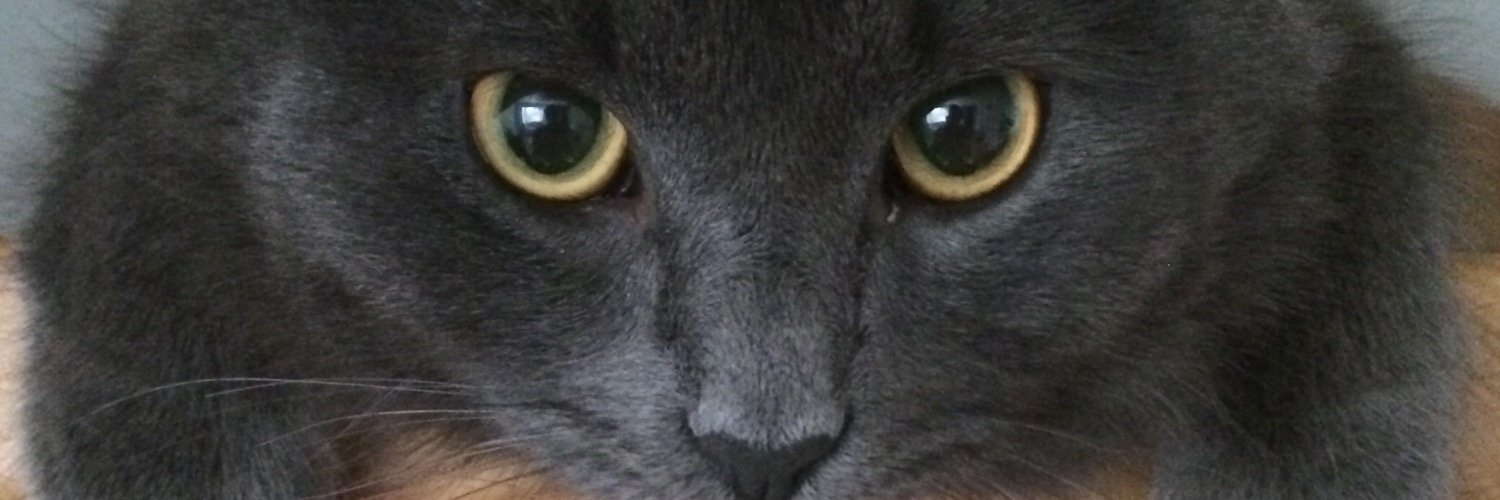 KyanderMikko's profile banner image
