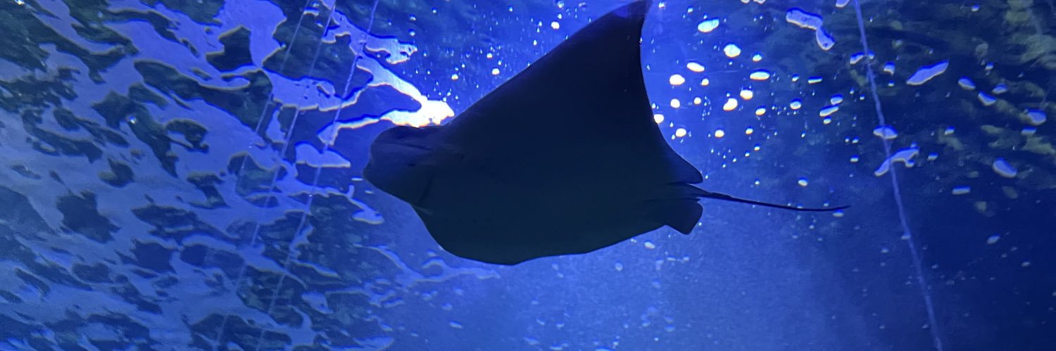 nela banner