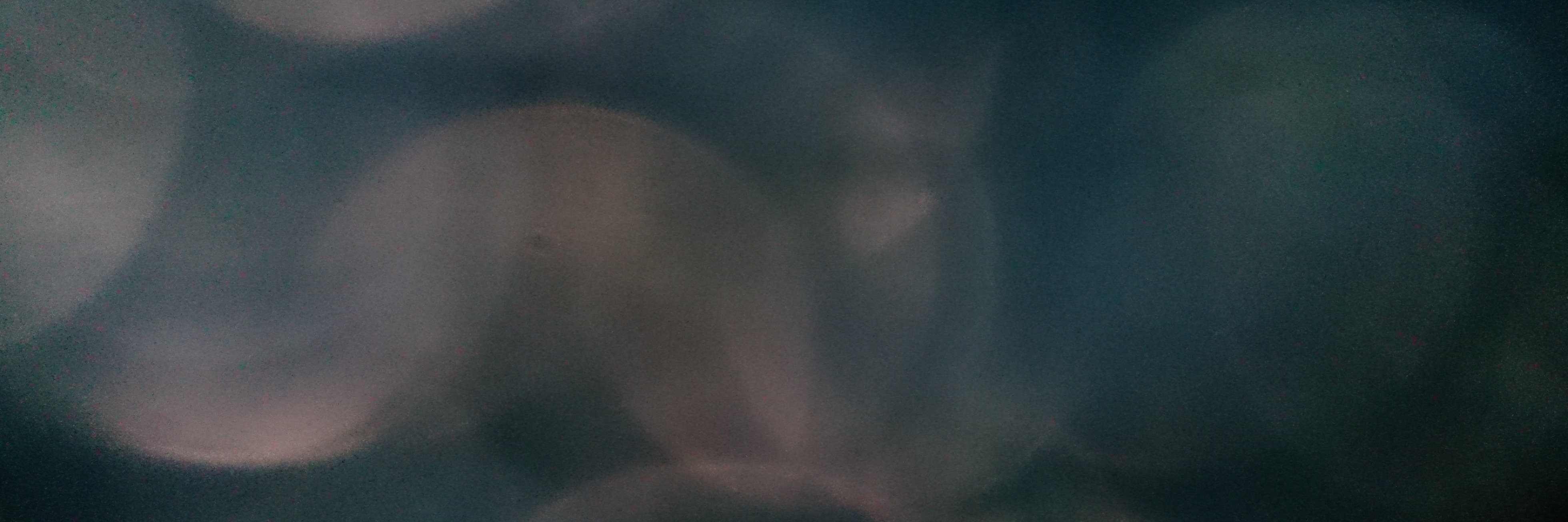 Jasmine banner