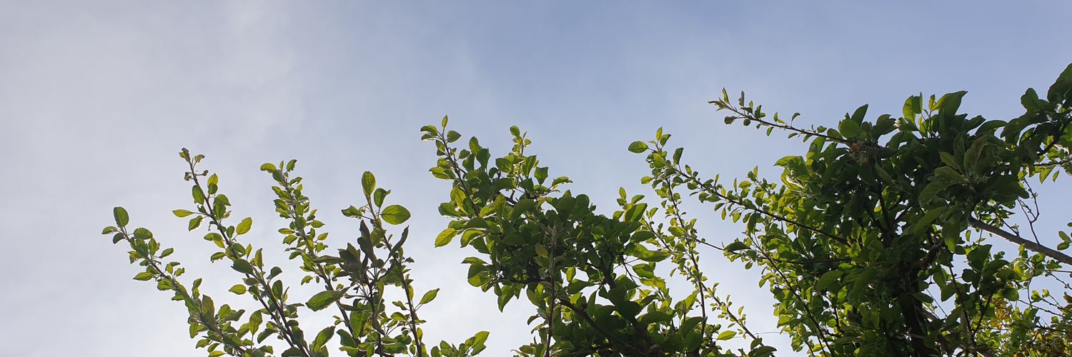 LibbyLambOT's profile banner image
