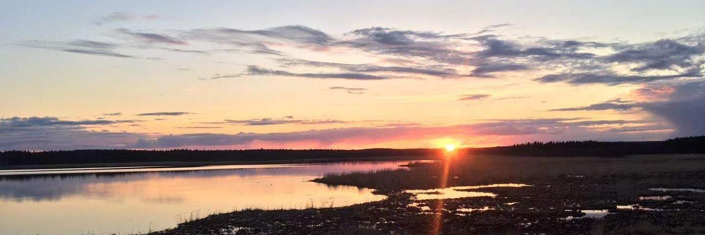 Mukhtiar Ahmed banner