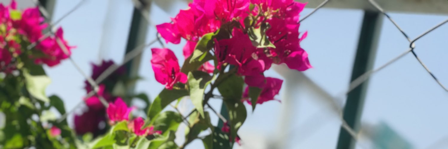 Snio_1's profile banner image