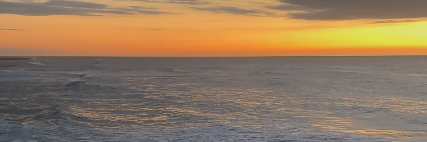 cppalmeidaa's profile banner image
