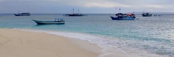 ICAN banner