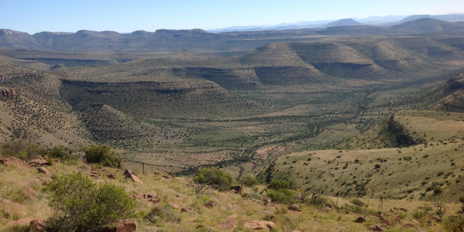 Orange Grove Karoo banner