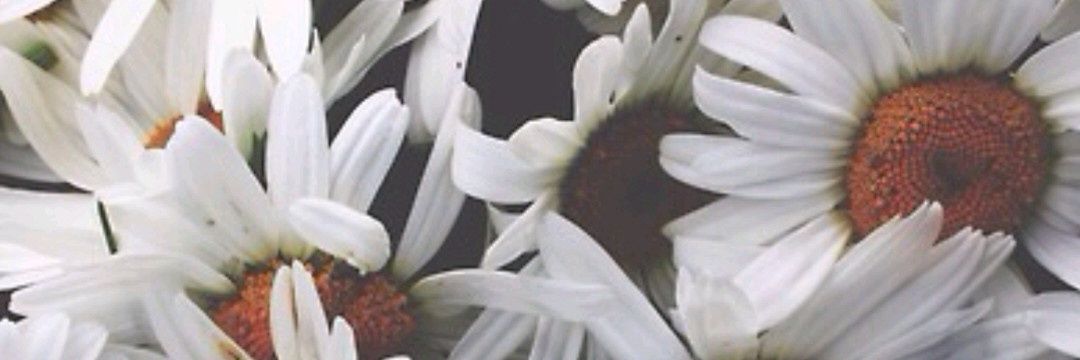 chocoreoo_'s profile banner image