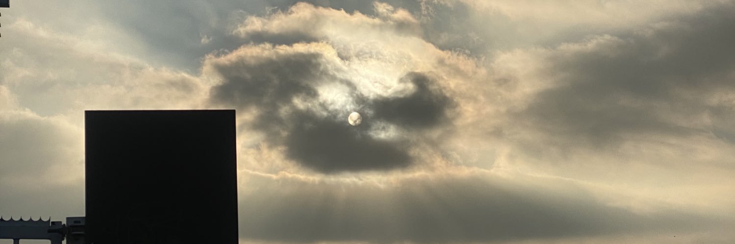 Rune vos banner