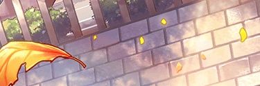 おさかな banner