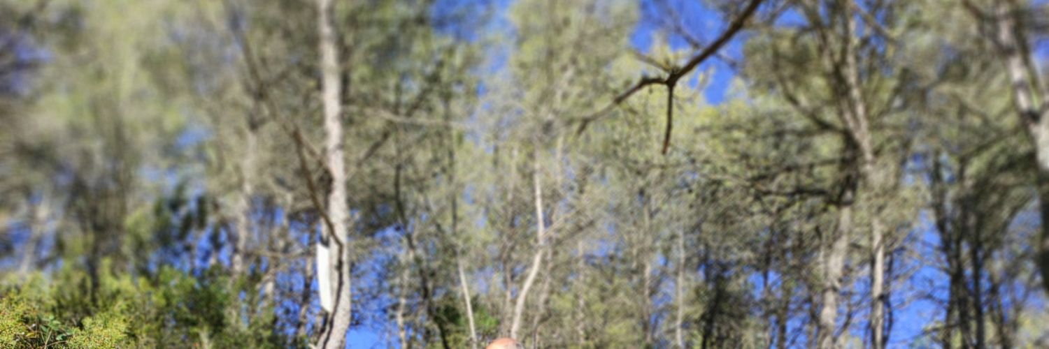 CusiSqm's profile banner image