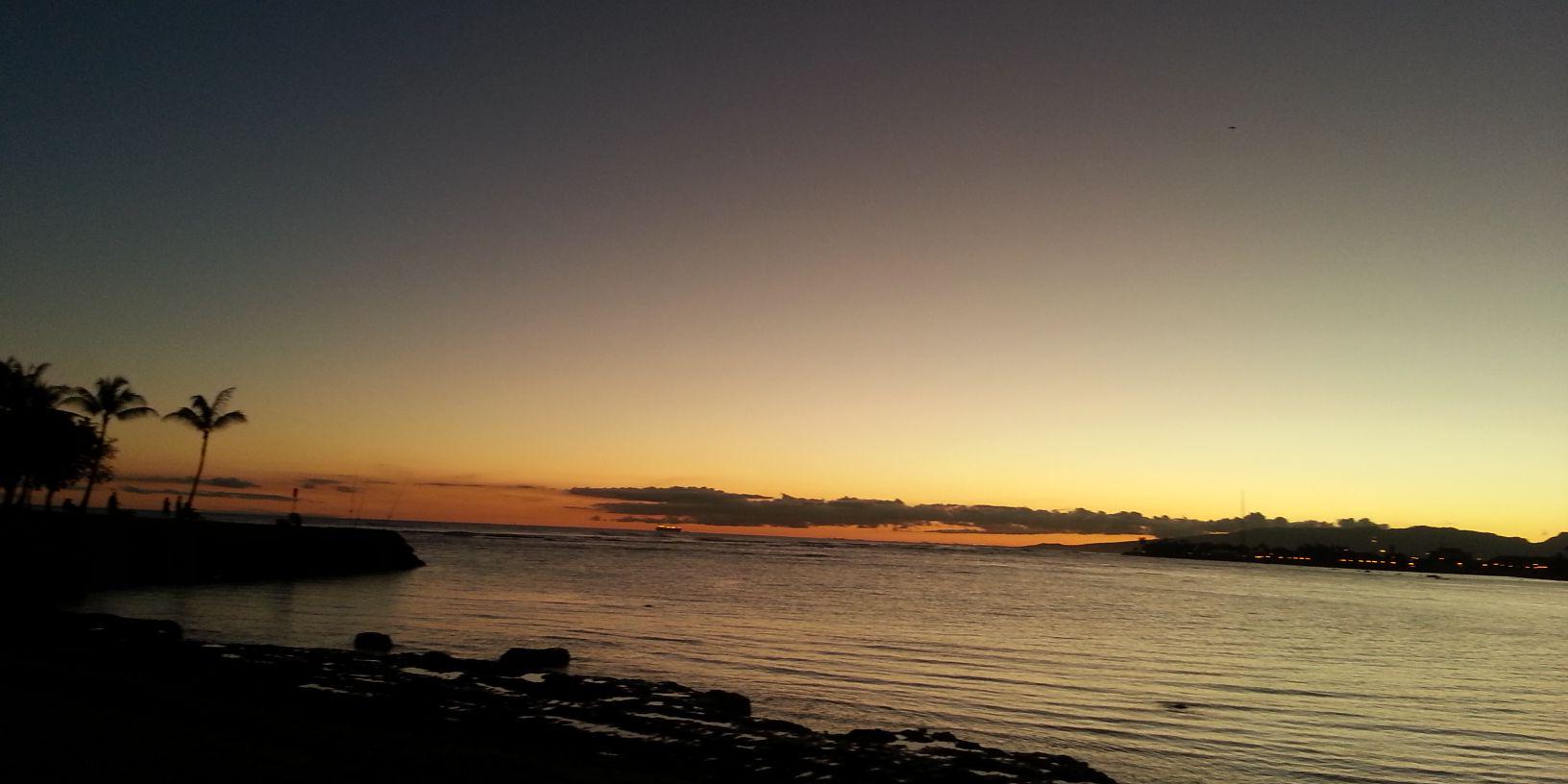 polypterus_yuka's profile banner image