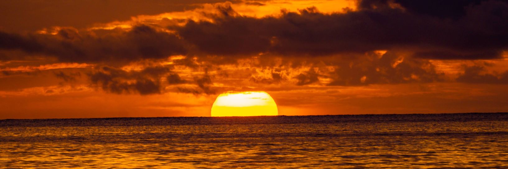 Ale_Ltt's profile banner image