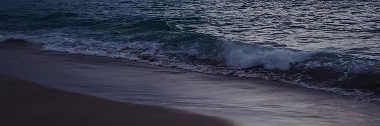 Reem Alruwaili banner