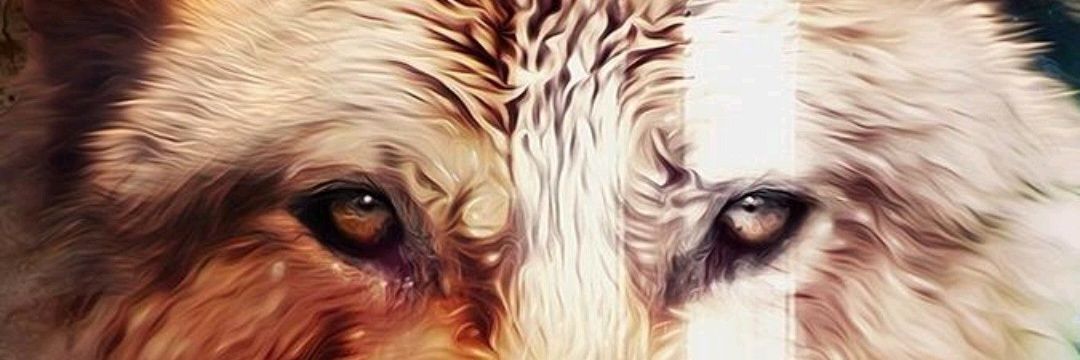 DieWolf96 banner