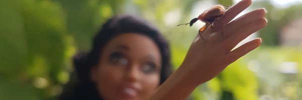 entobarbie Profile Banner