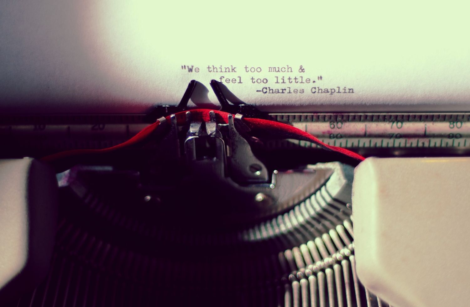 ellen_8912's profile banner image