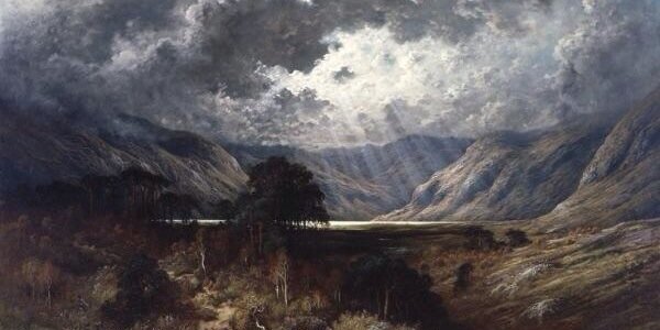 𝓌 𝒾 𝓁 𝓁 𝑜 𝓌 banner