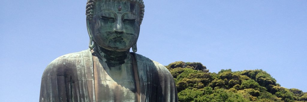 hollyrobotic's profile banner image