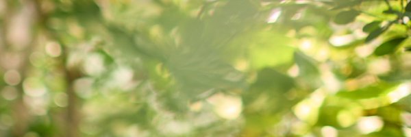 gardenmarcus Profile Banner