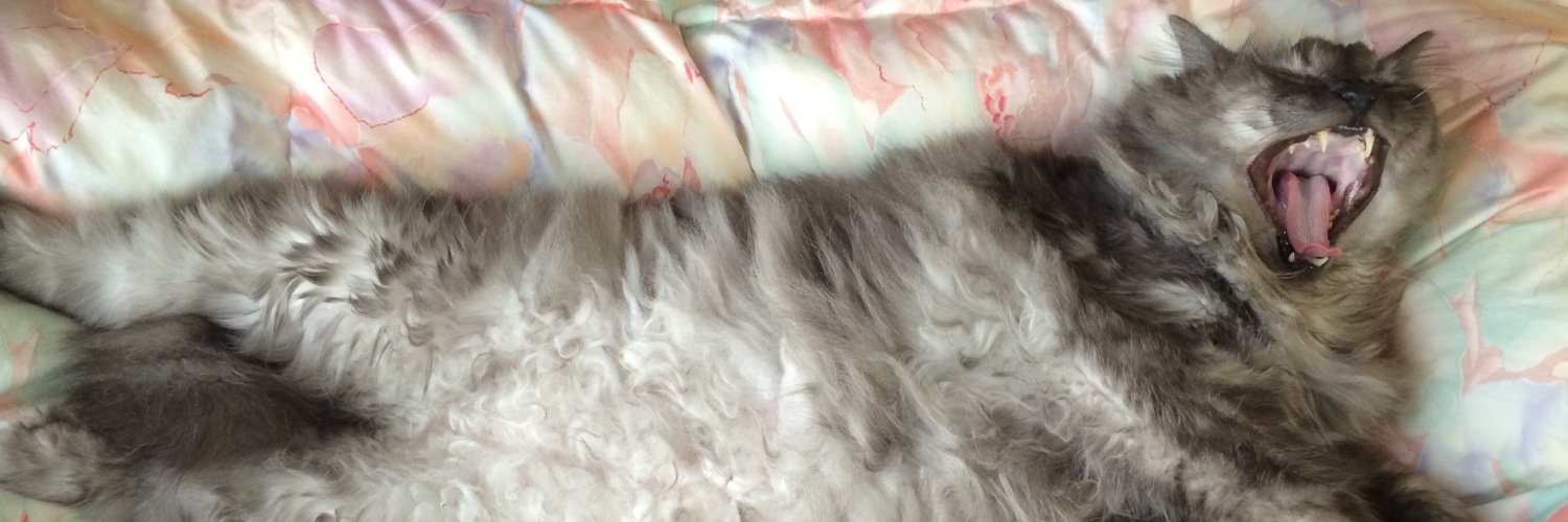 tabereo's profile banner image