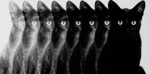 kdefexv's profile banner image