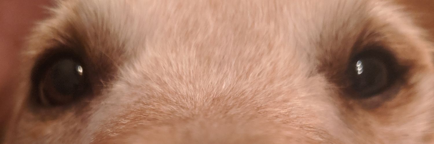 SavLeftHanded's profile banner image