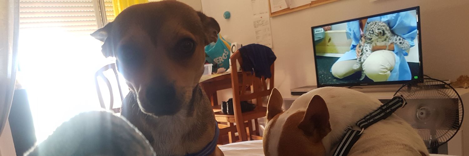 Daniel_371's profile banner image