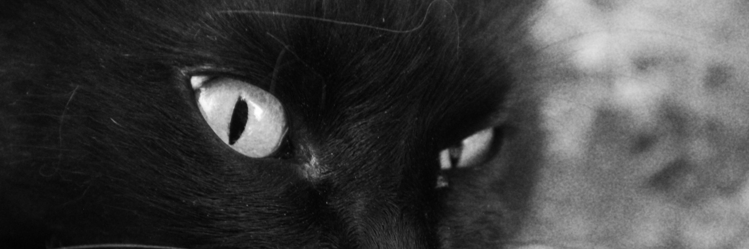 micaronis's profile banner image