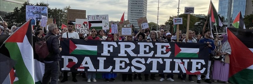 ♡🇵🇸 banner