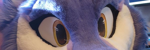 _Terra_husky Profile Banner