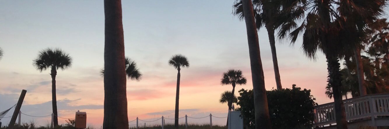 laur_cartone's profile banner image
