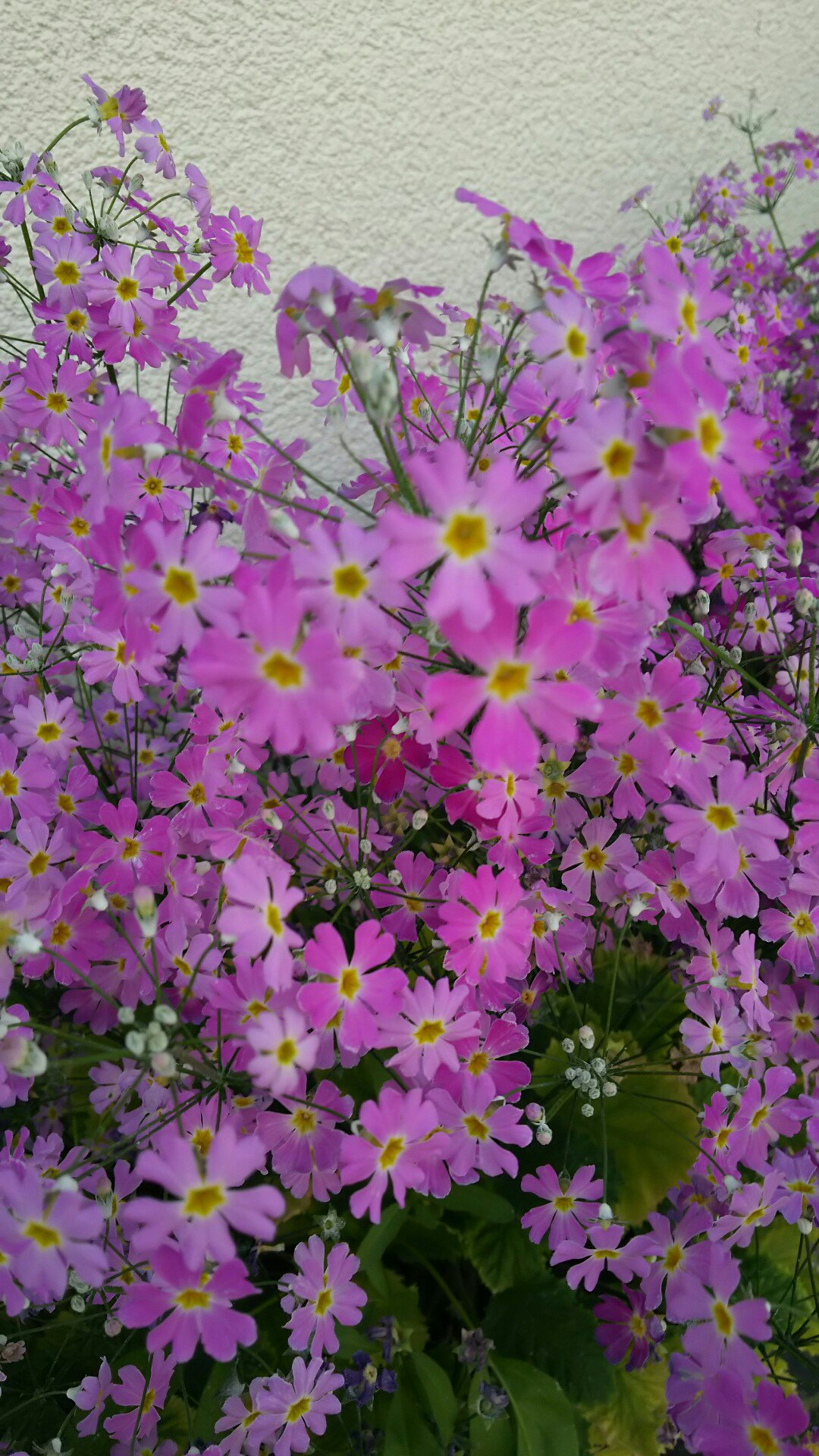keiko_nee's profile banner image