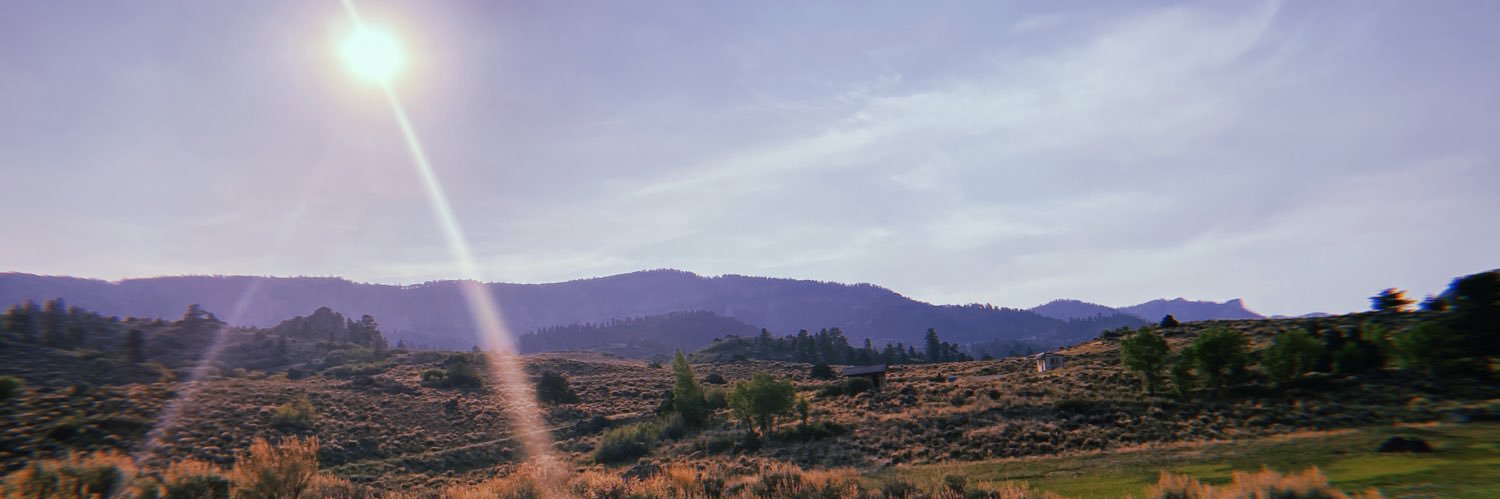 Amber 🪩 banner
