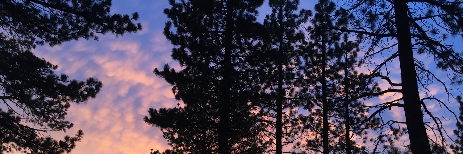 Aras Mattis MD PhD || Physician-Scientist banner