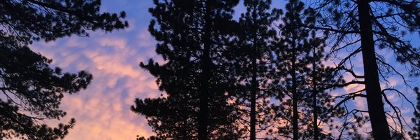 arasmattis Profile Banner