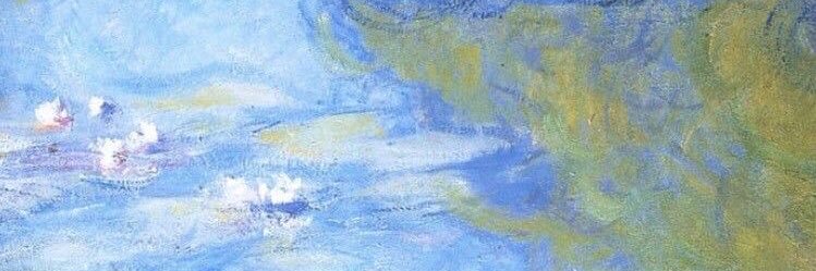 ShelinAlves's profile banner image
