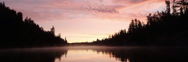 shieldss_alyssa Profile Banner