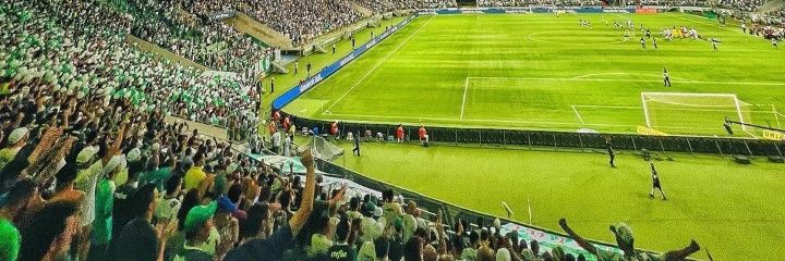 Rafael banner
