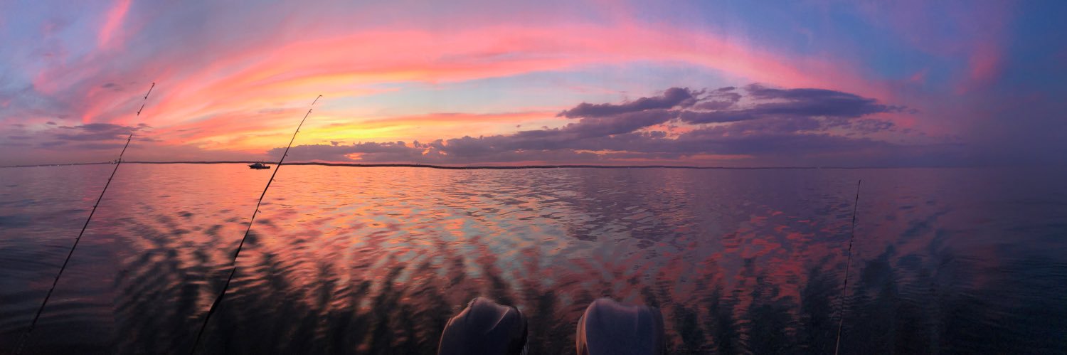 walkingtuna's profile banner image