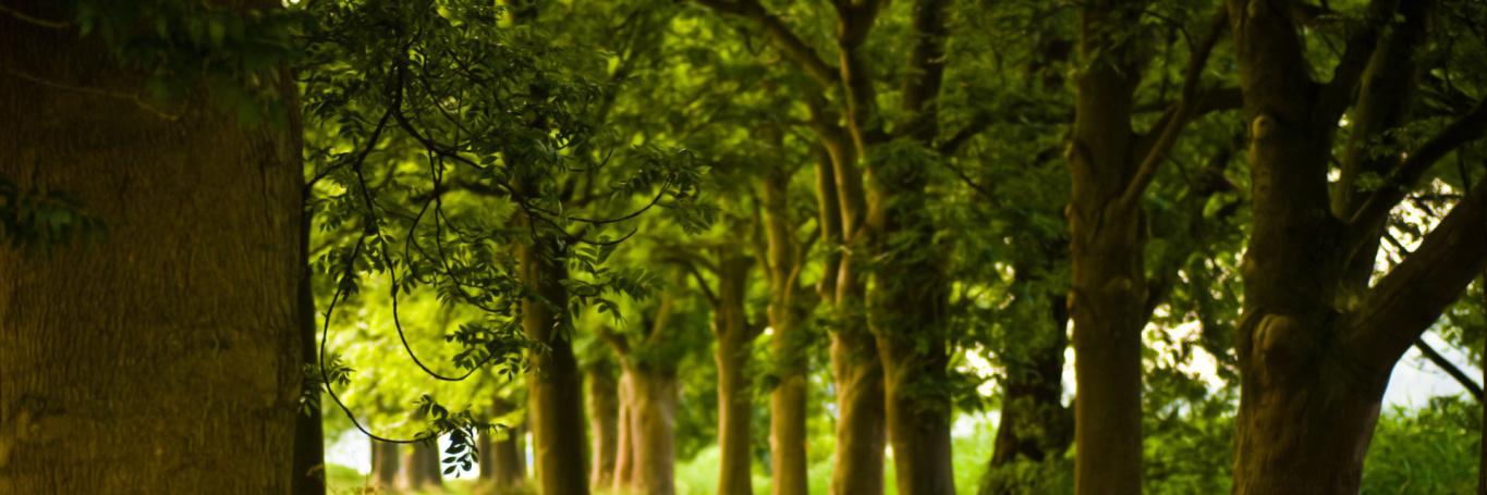 jayaramchandran's profile banner image